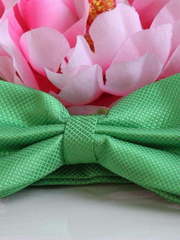 Бабочка Яблочная от  2