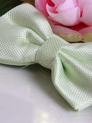 Бабочка Мятная от  2