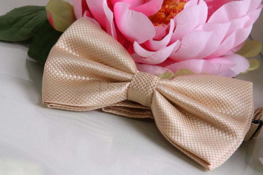 Бабочка Шампань от  2