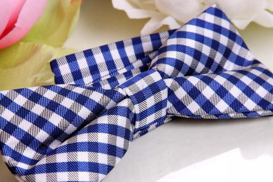 Бабочка Синяя в клеточку от  2