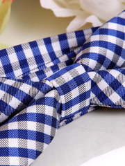 Бабочка Синяя в клеточку от  2