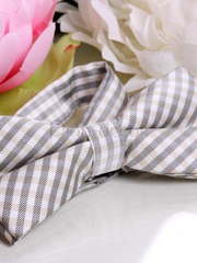 Бабочка Строгая в клеточку от  1