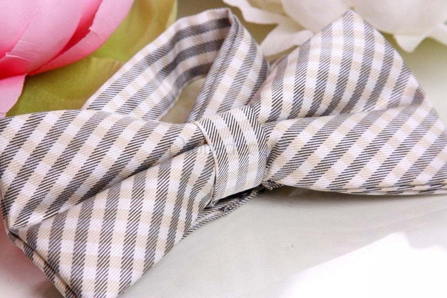 Бабочка Строгая в клеточку от  2