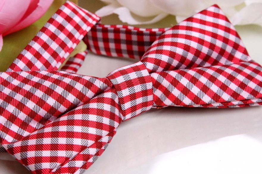 Бабочка Красная клетка от  2