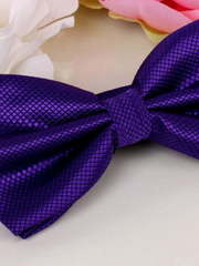 Ярко фиолетовая бабочка от  1