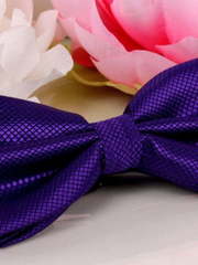 Ярко фиолетовая бабочка от  2