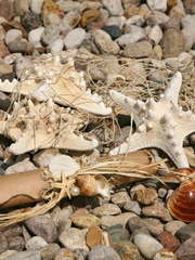 Свиток Пригласительное на свадьбу в морском стиле от Студия флористики и дизайна Я и ТЫ 2