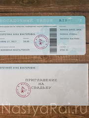 Прямоугольные / Квадратные Приглашение Билет на самолет от  2