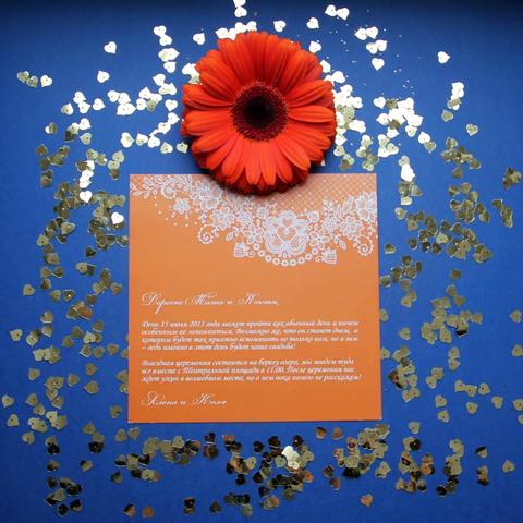 Прямоугольные / Квадратные Приглашение на свадьбу Кружево от Приглашения на свадьбу и аксессуары PaperDream 7