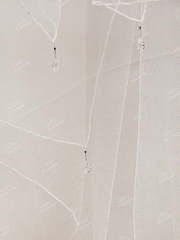 Фата V0854-W от Свадебный салон To be Bride 2