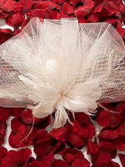 Вуалетка F439 от Свадебный салон To be Bride 2