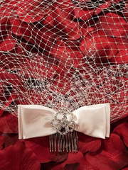 Вуаль с бантом F0504 от Свадебный салон To be Bride 2