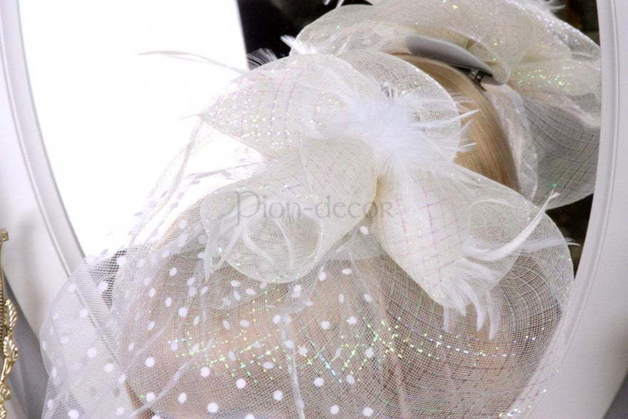 Вуалетка Амстердам от  2