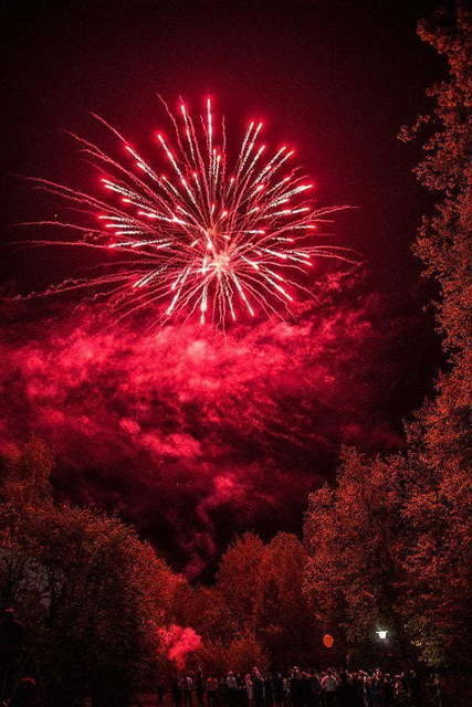 Салюты и фейерверки на свадьбу от Aurum show 4