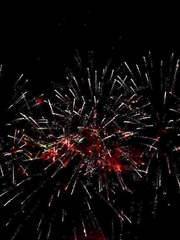 Салют Ёлка на свадьбу от Show Obertaeva 1