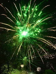 Салют Ёлка на свадьбу от Show Obertaeva 2