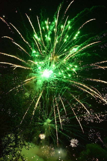 Салют Ёлка на свадьбу от Show Obertaeva 2