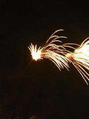 Фейерверк Апофеоз на свадьбу от Show Obertaeva 2