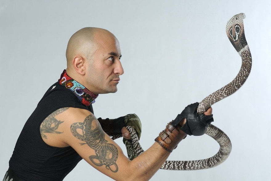 Extreme Jungle Show на свадьбу от Show Obertaeva 2