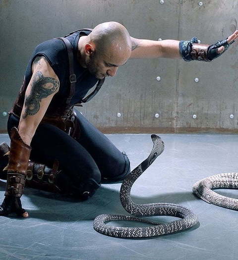 Extreme Jungle Show на свадьбу от Show Obertaeva 7