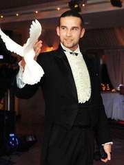 Mr.Fox на свадьбу от Show Obertaeva 2