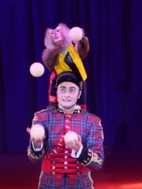 Комичный жонглёр с обезьянкой на свадьбу от Show Obertaeva 1
