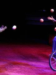 Комичный жонглёр с обезьянкой на свадьбу от Show Obertaeva 2