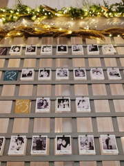 Рассадка в Эко от Miracle Makers 1