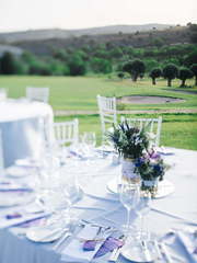 Весенняя / Летняя, Прованс в Природа от Miracle Makers 1