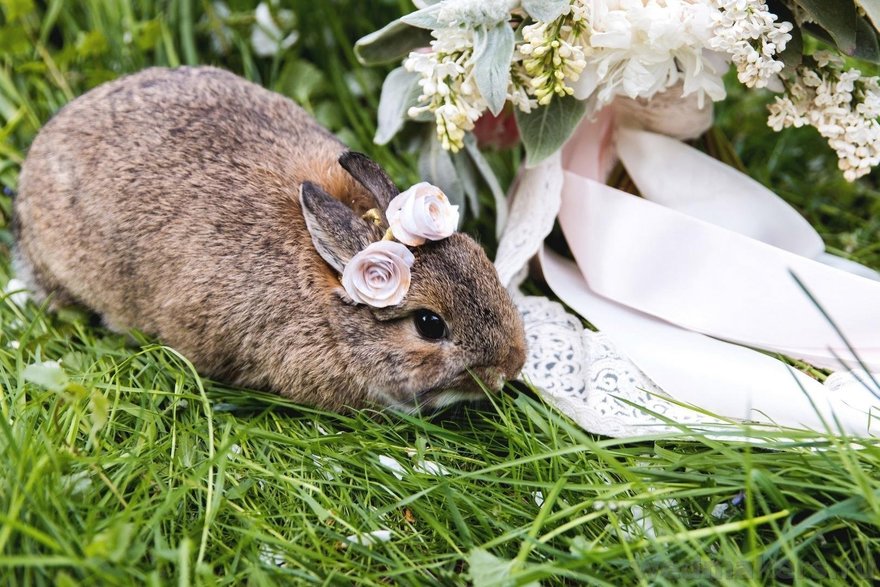 Классика, Весенняя / Летняя, Эко в Природа от Студия декора WedMakers 15