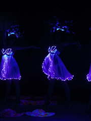 Шоу-программа MAGIC DIVA'S на свадьбу от Show QUINTESSENCE 1