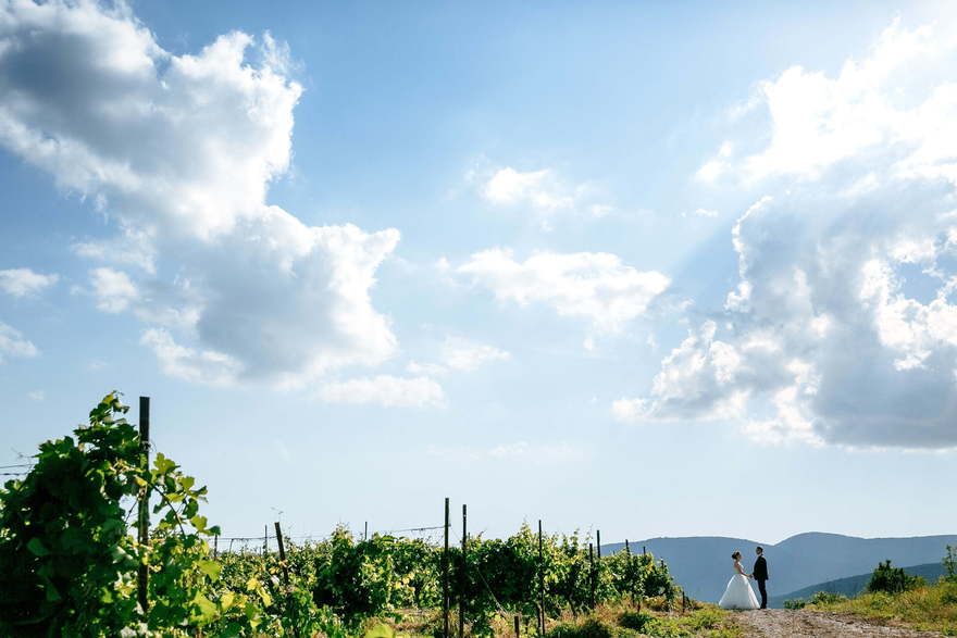 Свадьба Станислава и Ольги от Lovely КАРАНДАШ 33