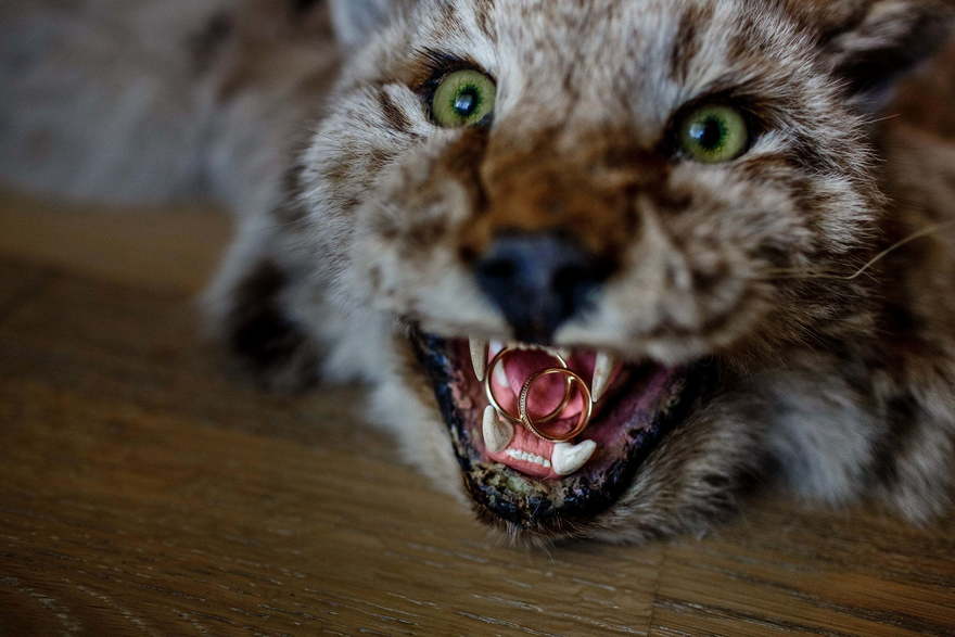 Свадьба Ильи и Юлии от Lovely КАРАНДАШ 4