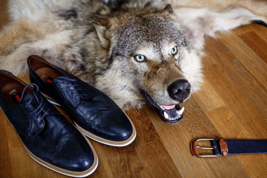 Свадьба Ильи и Юлии от Lovely КАРАНДАШ 5