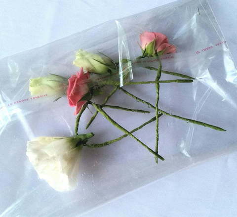 Классика, Весенняя / Летняя в Выездная регистрация, Ресторан / Банкетный зал от Студия свадеб Дуэт 23