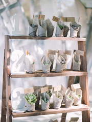 Весенняя / Летняя, Рустик, Эко в Выездная регистрация, Шатер, Природа от Организаторы свадеб O2Studio 2