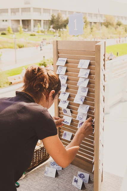 Тематический, Весенняя / Летняя, Прованс в Выездная регистрация, Природа, Шатер от Miracle Makers 39