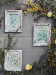 Рассадка в Классика, Рустик, Эко от Miracle Makers 2