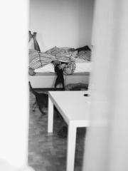 Фотоотчет Love Story: Вася и Ирина от SHY FOX photo 1