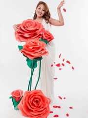 Фотозона в Классика от  2