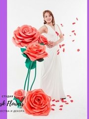 Фотозона в Классика от  1