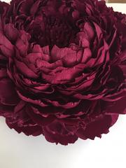 Фотозона в Классика от  1