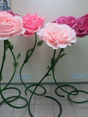 Фотозона в Классика от  1