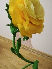 Фотозона в Классика от  2