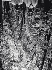 Фотоотчеты со свадеб 4 от Никита Щеглов 2