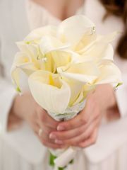 Классический круглый, Монобукет из одного вида цветов name от Bella lumore 1