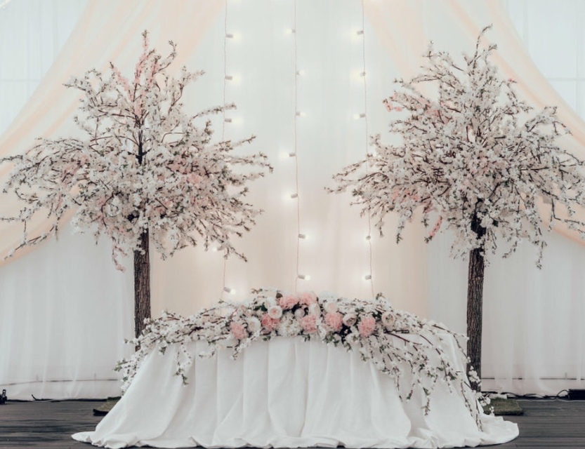 Классика в Шатер от Студия декора и флористики Империя Счастья 2