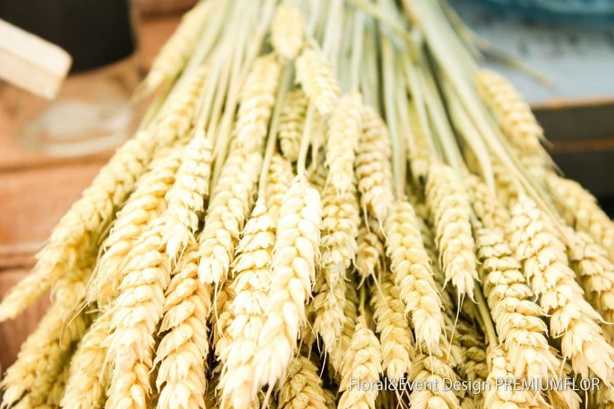 filter_style_decora в filter_place_decora от Студия декора и флористики Premiumflor 20