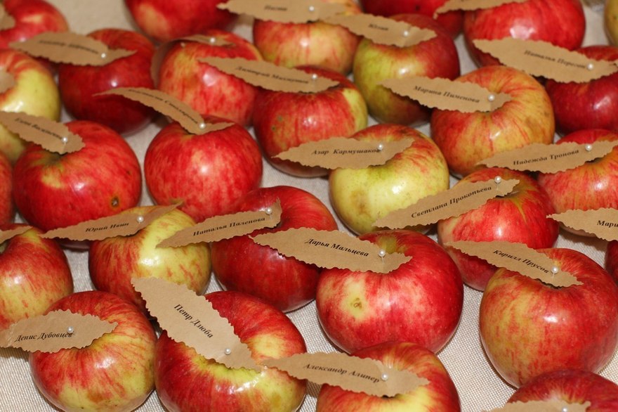 Яблочно-тыквенная свадьба от Лаборатория торжества IdeaPro 7