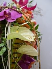 Каскадный name от  2